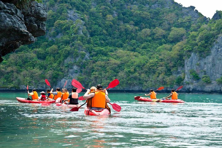 Krabi's Ao Thalane Bay: Kayak Through Mangrove Magic