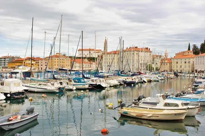Piran & Slovenia Coast Tour: Trieste Shore Excursion