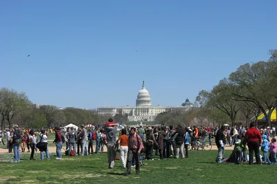 Unleash Laughter: Comedy Walks Through Historic D.C.!