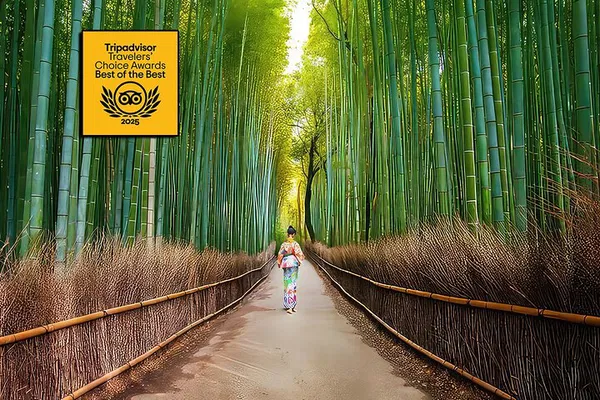 Arashiyama Kyoto: Bamboo Forest, Monkeys & Temple Tour