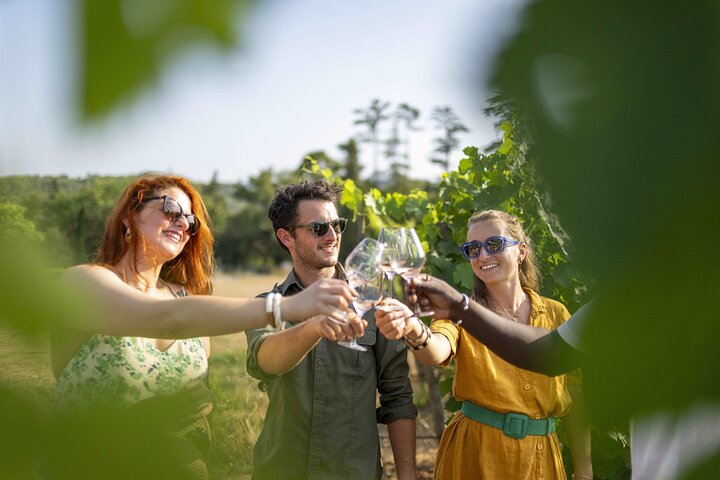 Nice: Provence Wine Tour - Taste Rosé & Vineyard Views