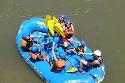 Bighorn Canyon: Rafting Adventure & Gourmet Lunch