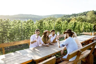 Uncork Rovinj: A Luxurious Wine & Terroir Adventure at Stancija Collis