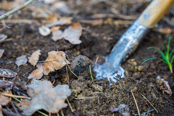 Experience Image img2