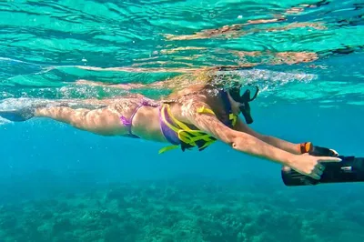 West Palm Beach Jet Snorkel Adventure: Dive into an Underwater Paradise!