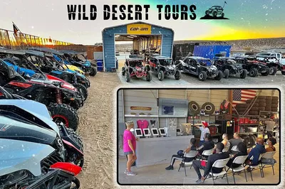 Conquer the Mojave: Thrilling UTV Adventure for Two!
