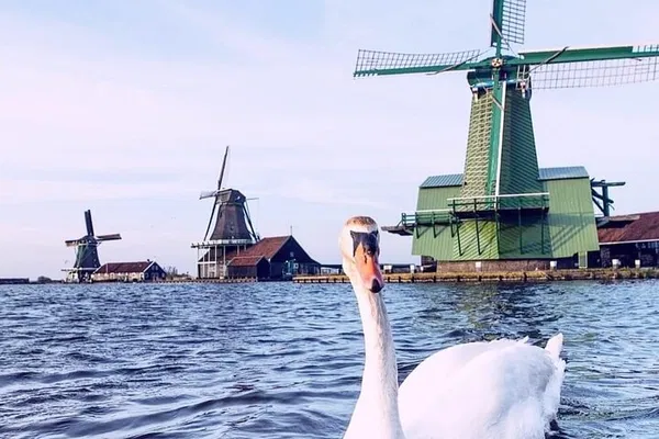 Zaanse Schans Windmills: Countryside & Village Tour