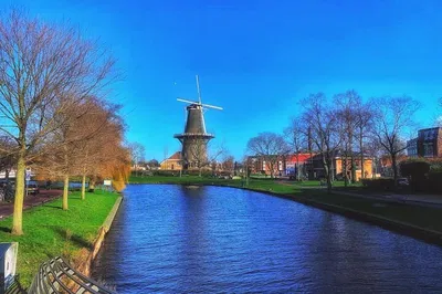 Leiden's Windmills & Polder: A Dutch Walking Adventure