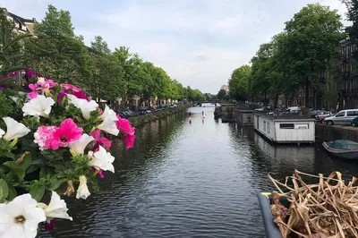 Glide Through Amsterdam: Paddle Board Adventure on Canals