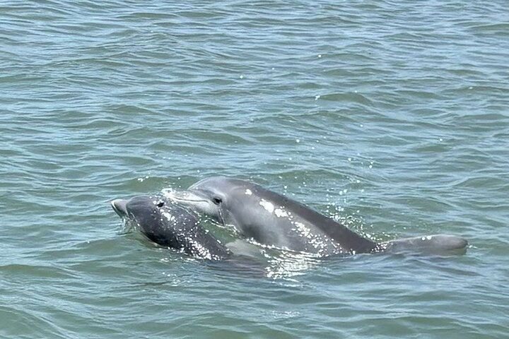 Experience Image img2