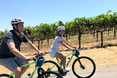 Healdsburg Wine Bike Tour: Cycle & Sip with Lunch