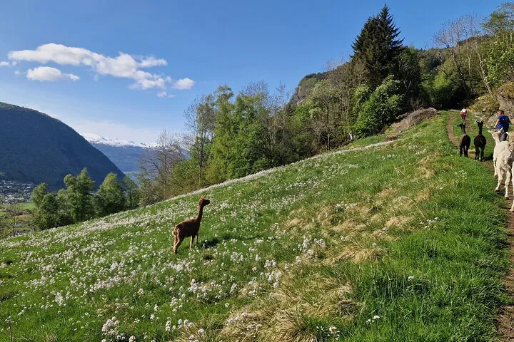 img0