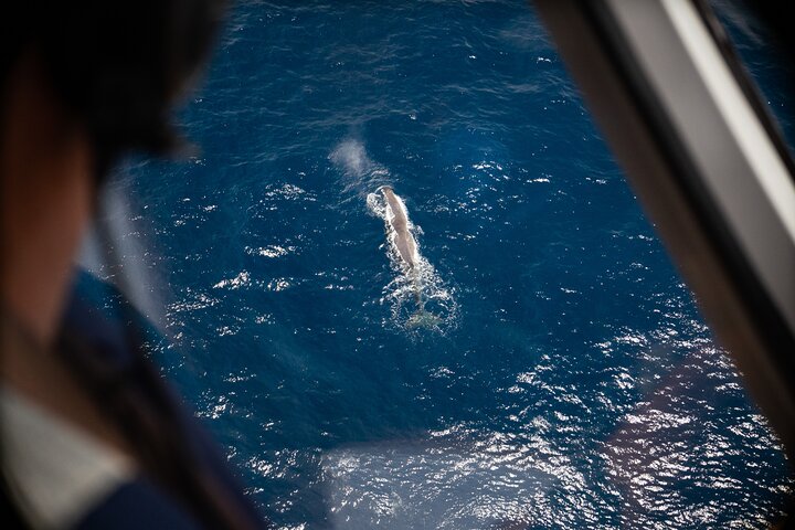 Experience Image img2