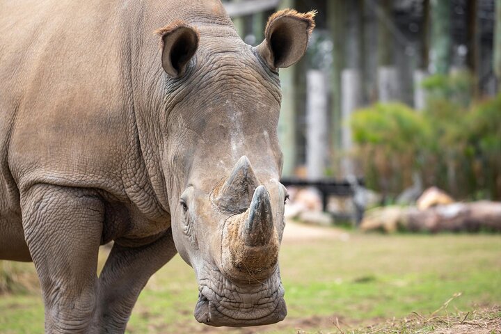 Experience Image img2