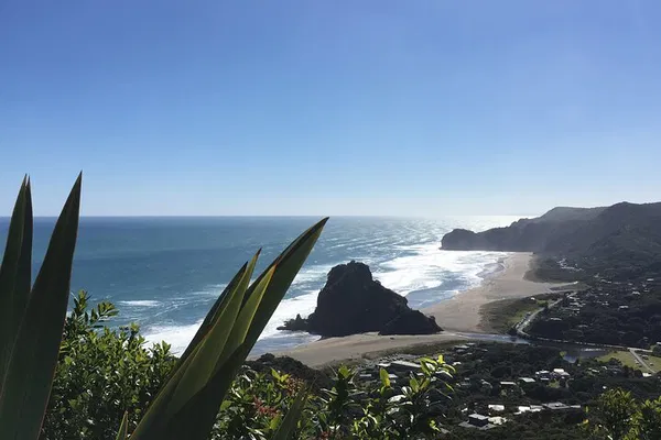 Auckland Sightseeing: Volcano, Beach & Wine Tour