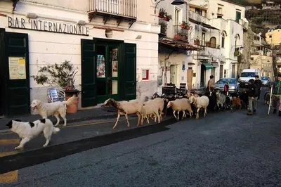 Discover the Amalfi Coast: A Personalized Journey with a Local Expert