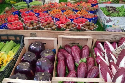 Embark on a Culinary Journey: Roman Market & Cooking Class