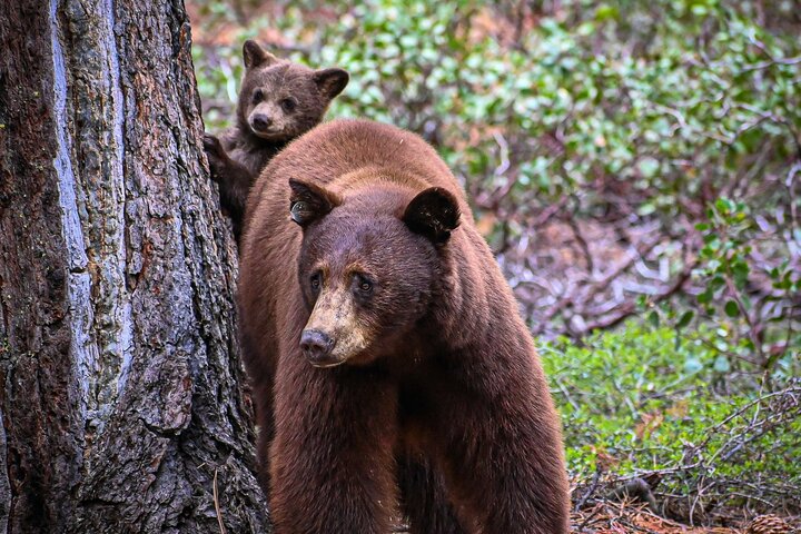 Experience Image img1