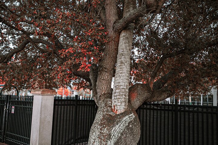 Experience Image img4