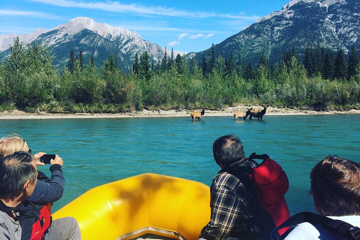 Experience Image img1