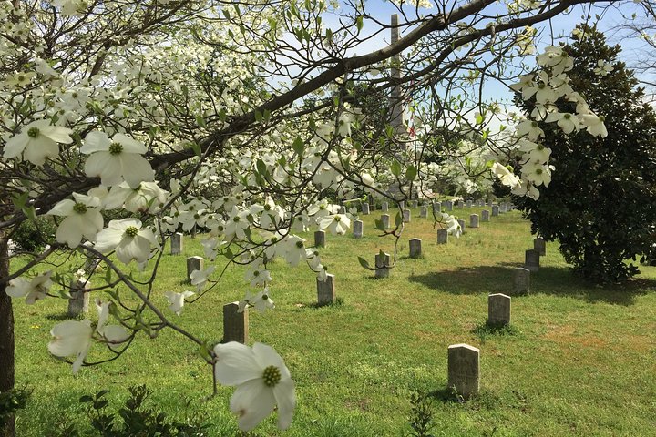 Experience Image img3