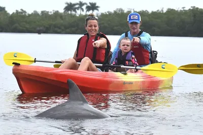 Marco Island Mangrove Kayak Adventure: Explore Nature's Hidden Gems!