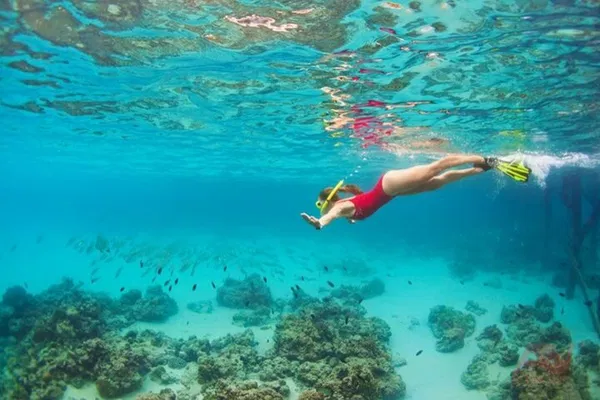 Nha Trang Bay Snorkeling: Explore Mun Island's Reefs!