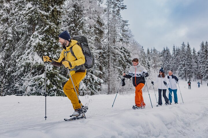 Oslo Winter Wonderland: Guided Snowshoeing Adventure