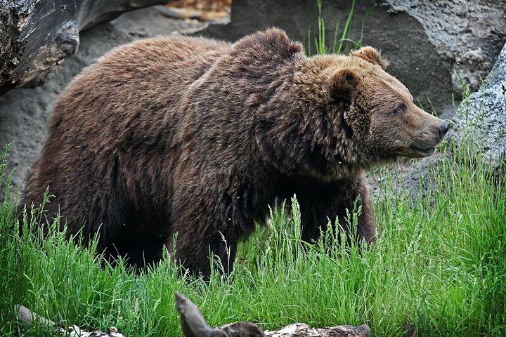 Experience Image img1