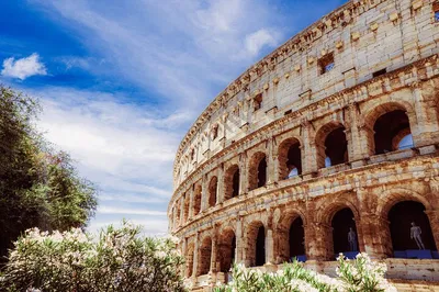 Colosseum, Roman Forum & Palatine Hill: Audio Tour