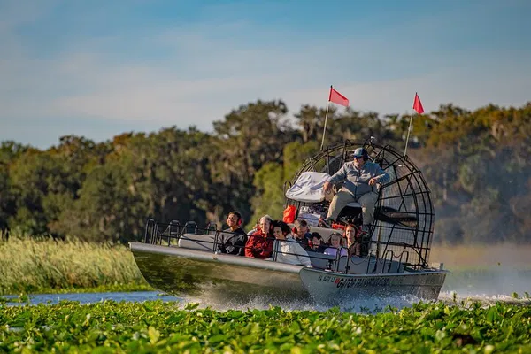 Orlando Airboat Ride: See Alligators & Wildlife!