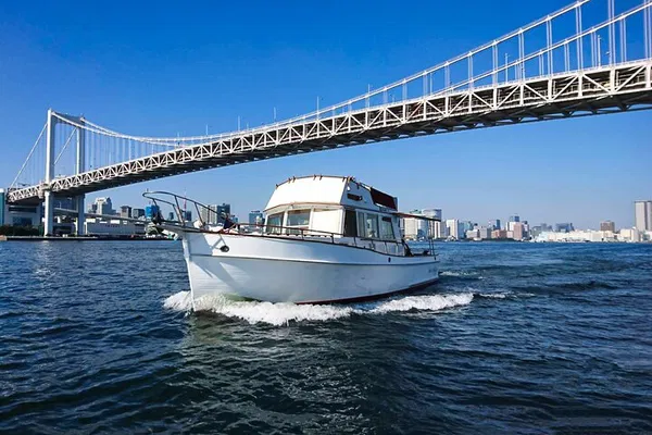 Tokyo Bay Private Cruise: Unforgettable Skyline Views & Celebrations