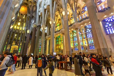 Sagrada Familia: Fast Track Tour + Tower Access