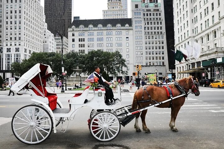 Central Park Horse Carriage Ride: A Personalized Journey Through New York's Iconic Park