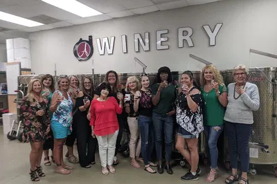 Sip & Savor: Award-Winning Wine Tour at Aspirations Winery!