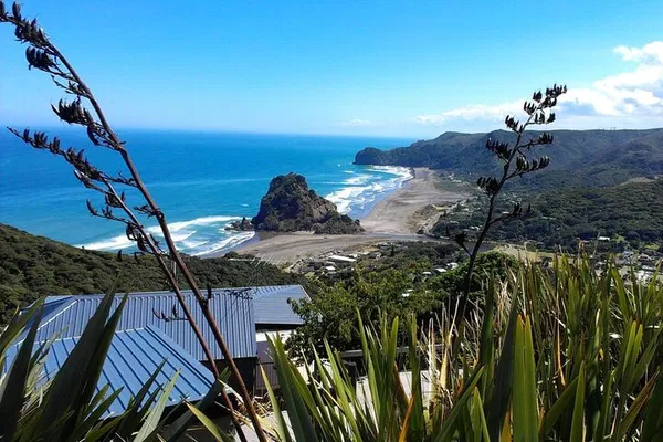 Auckland: Private Tesla Tour - See Auckland Your Way!