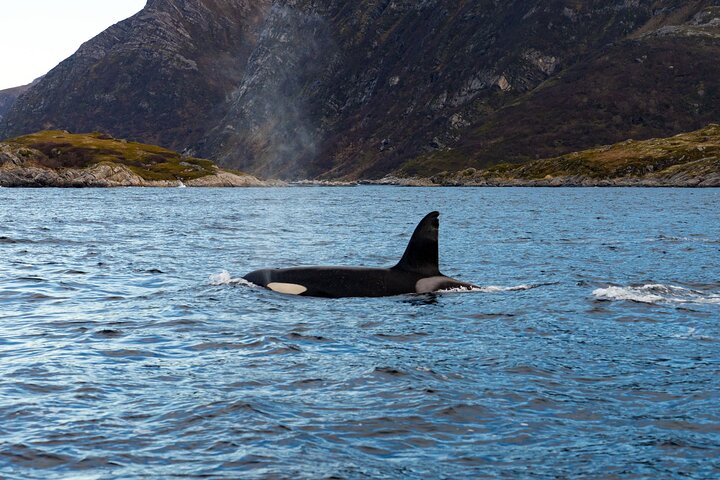 Experience Image img1