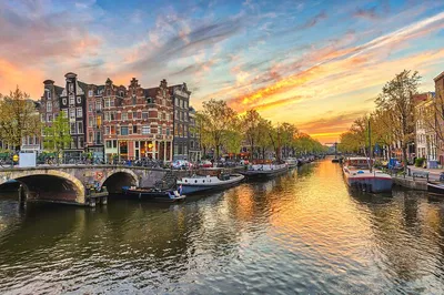 Seamless City Transfer: Rotterdam to Amsterdam with Utrecht Stop