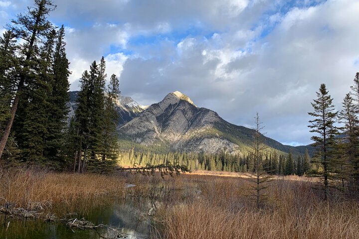 Experience Image img4