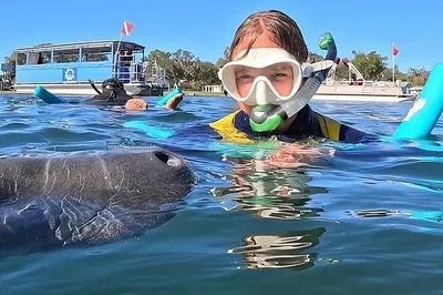 Swim with Gentle Giants: Crystal River Manatee Adventure
