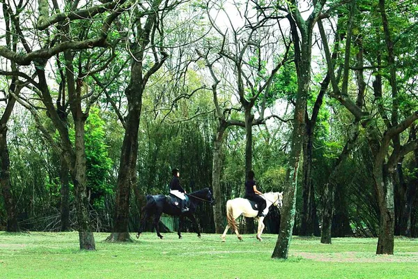 Hanoi Horseback Riding: Exclusive Nature Tour