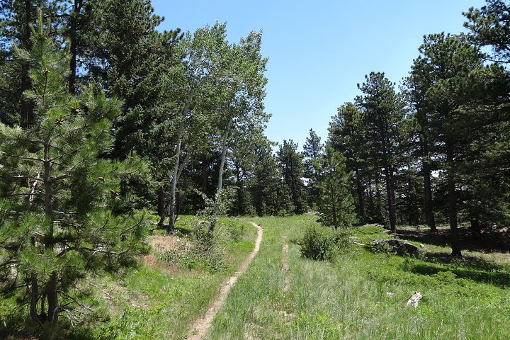 Experience Image img3