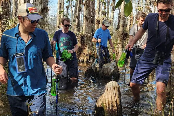 Everglades Adventure: Biologist-Led Eco-Tour with Wet Walk, Boat Trips & Local Lunch