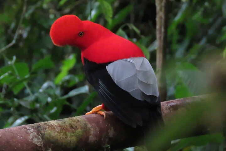 Experience Image img1