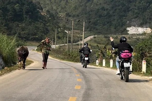 Unveiling Cao Bang's Majesty: A Full-Day Adventure to Ban Gioc Waterfall