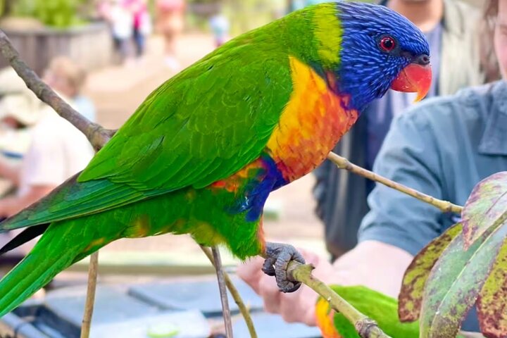 Experience Image img3