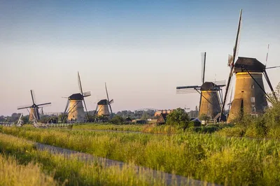 Kinderdijk, Delft & The Hague: Private Tour from Rotterdam