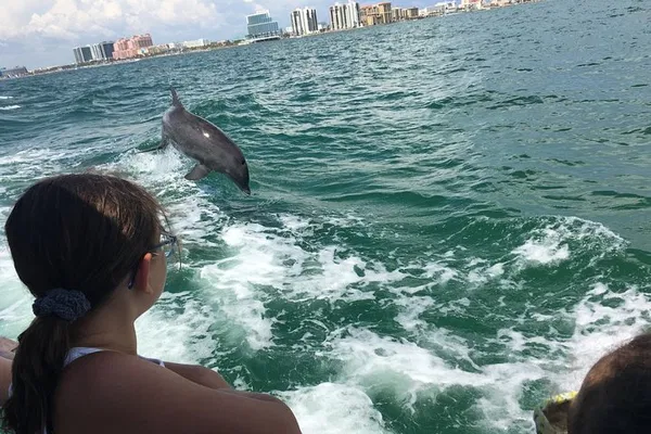 Clearwater Beach: Little Toot Dolphin Adventure!