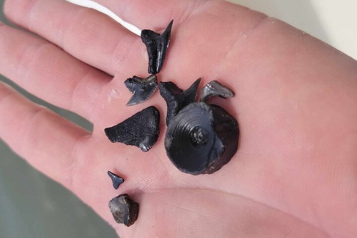 Experience Image img3