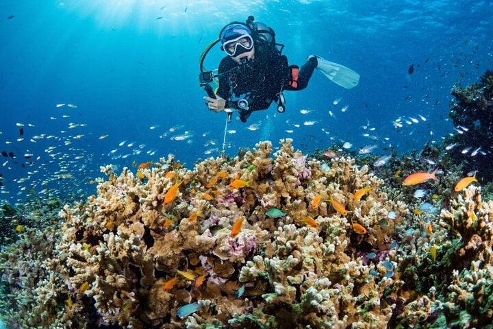 Phuket Scuba Refresher: Dive Back In with Confidence!